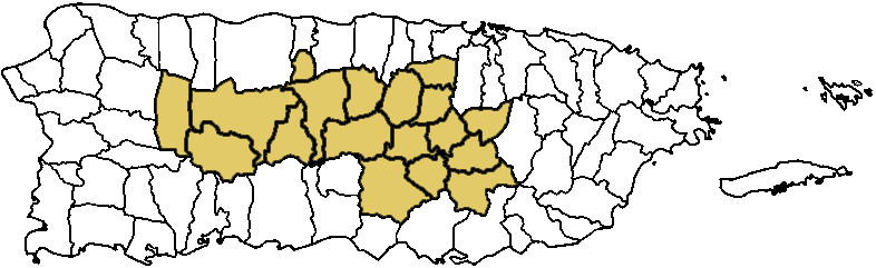 Mapa Área Central Puerto Rico