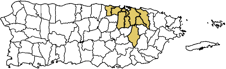 Mapa Área Metropolitana Puerto Rico